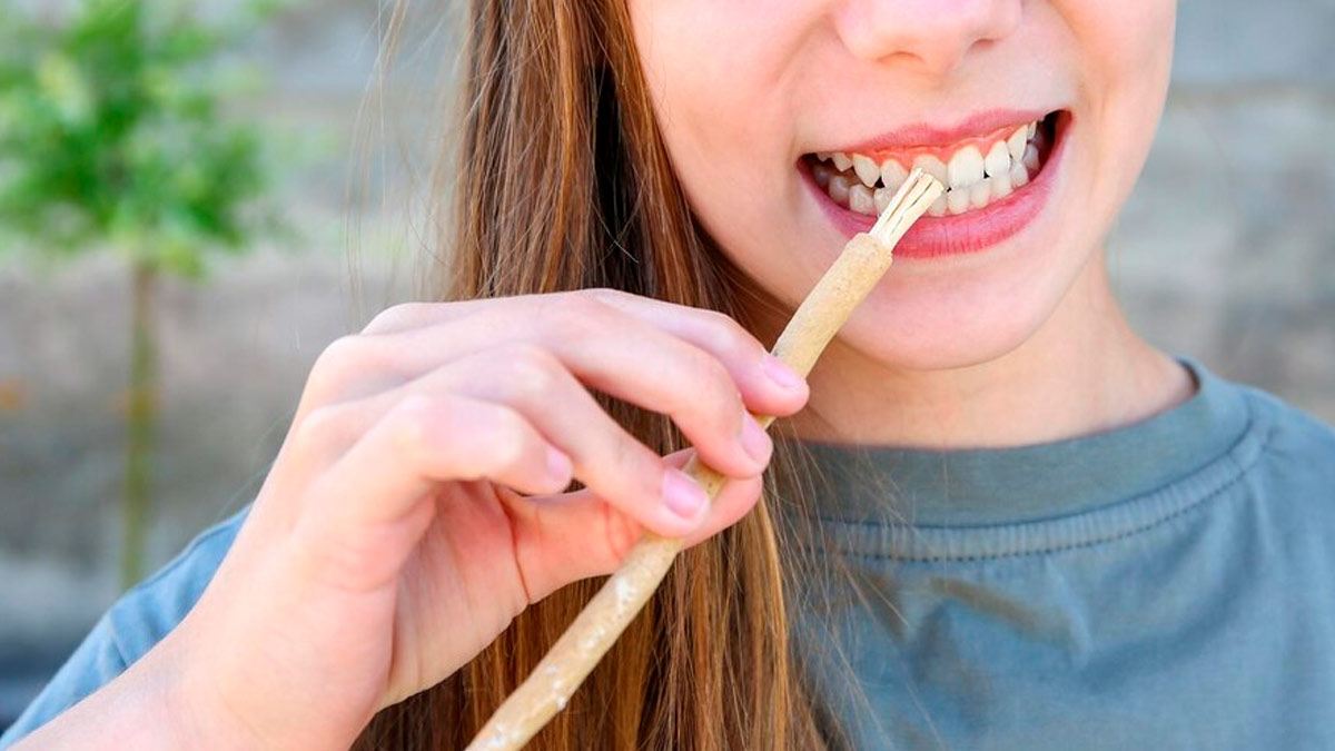 Oral Health Benefits Of Miswak | OnlyMyHealth