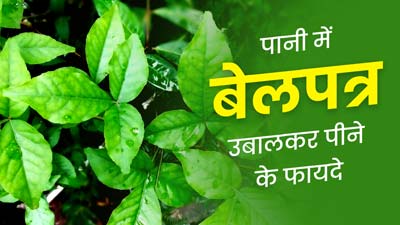 Bael Patra Benefits: बेल पत्र को पानी में उबालकर पीने से दूर होती हैं ये 5 समस्याएं