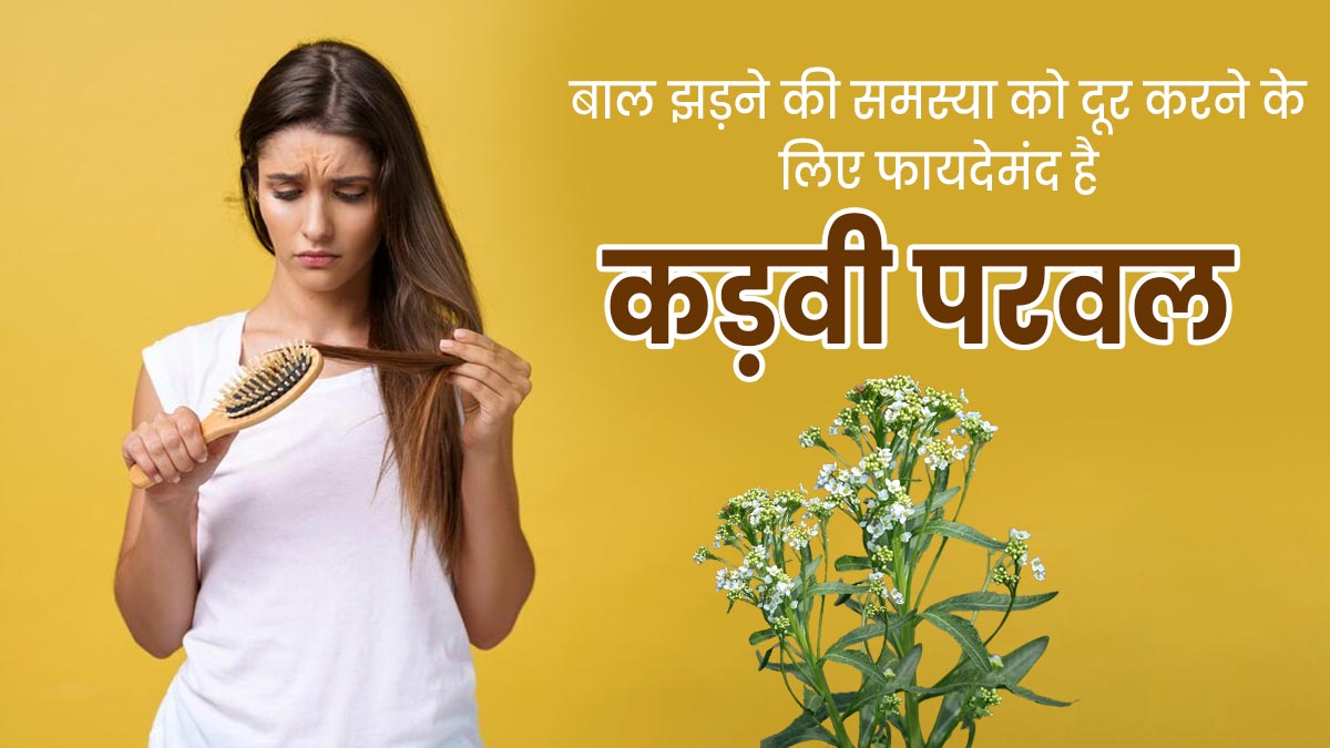 बालों का झड़ना रोकेंगे कड़वे परवल के फूल और पत्ते, इस तरह से करें इस्तेमाल