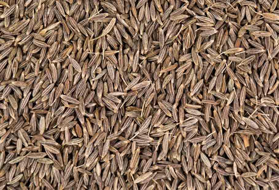 cumin
