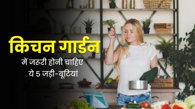 क्या आपके घर में भी हैं छोटे बच्चे? तो आपके किचन गार्डन में जरूर होनी चाहिए ये 5 जड़ी-बूटियां