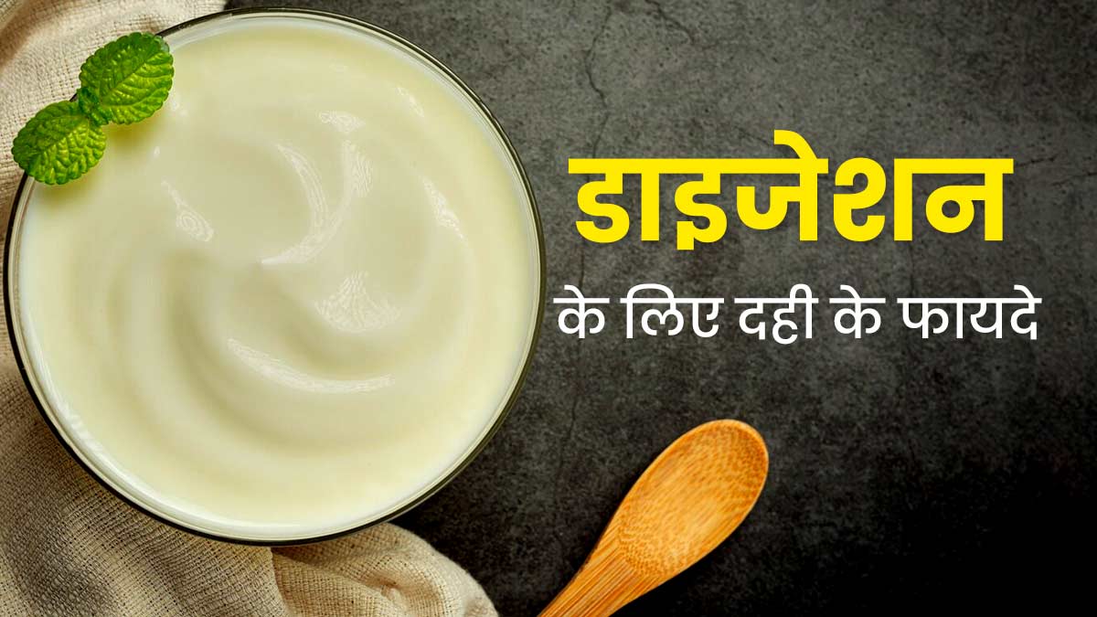 डाइजेशन को बेहतर बनाने में मददगार है दही, इस तरह से करें सेवन