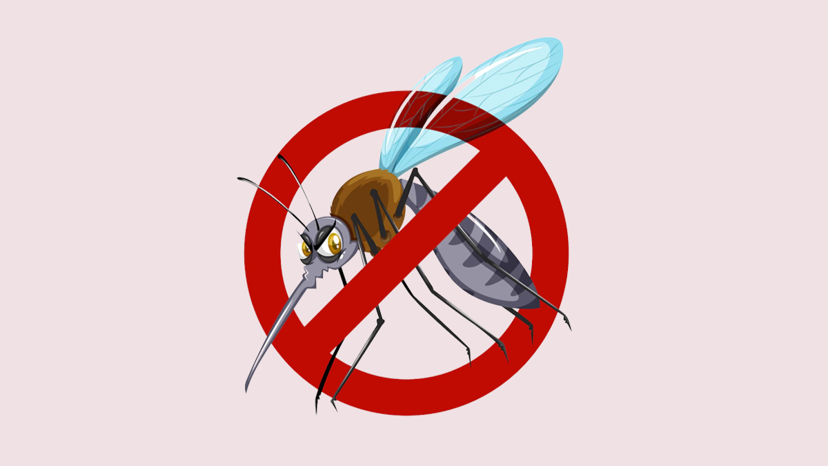 Recently Recovered From Dengue? Here Are Some Post Recovery Tips To Follow