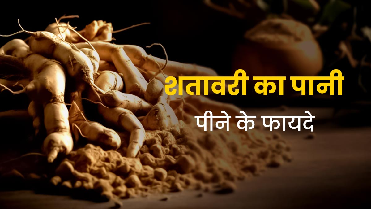 रोजाना ऐसे करें शतावरी के पानी का सेवन, दूर होंगी कई समस्याएं