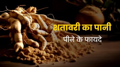 रोजाना ऐसे करें शतावरी के पानी का सेवन, दूर होंगी कई समस्याएं