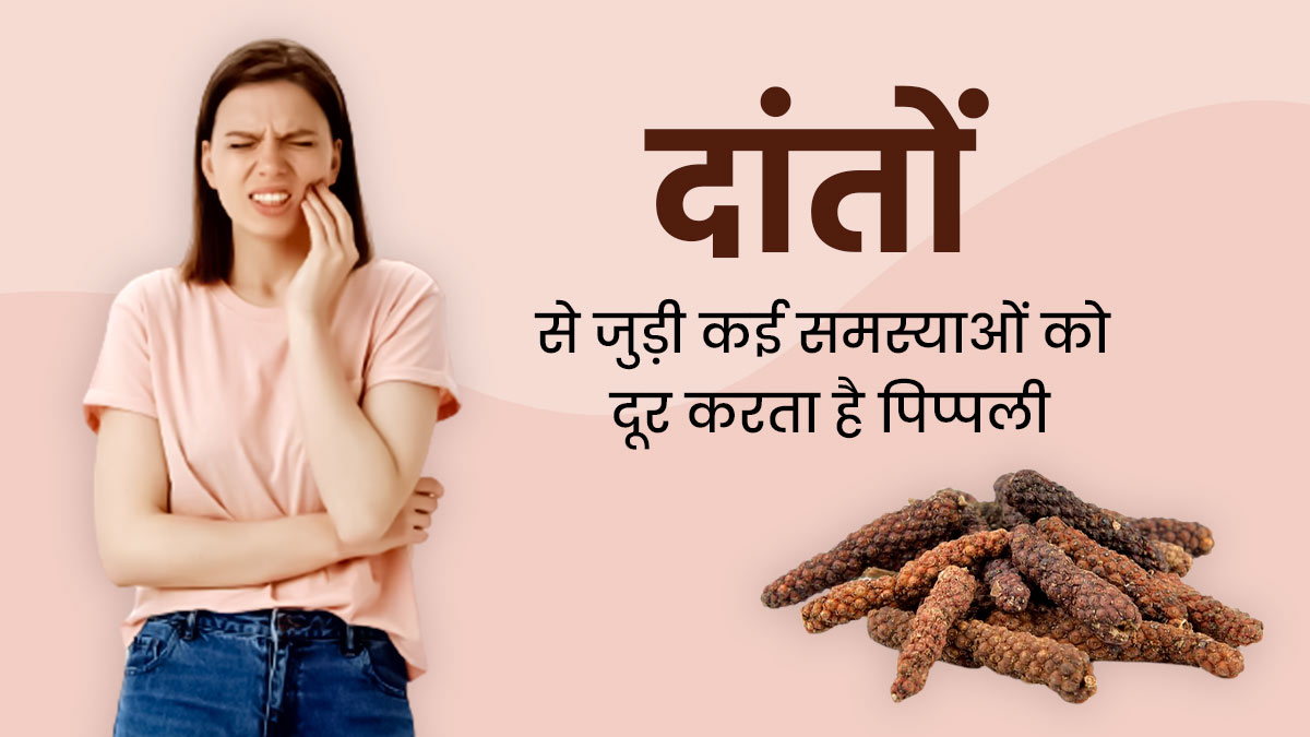 दांतों से जुड़ी कई समस्याओं को दूर करती है आयुर्वेदिक जड़ी-बूटी 'पिप्पली', जानें इस्तेमाल का तरीका