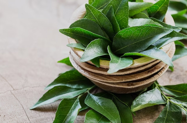 Curry Leaves for Mouth Ulcer