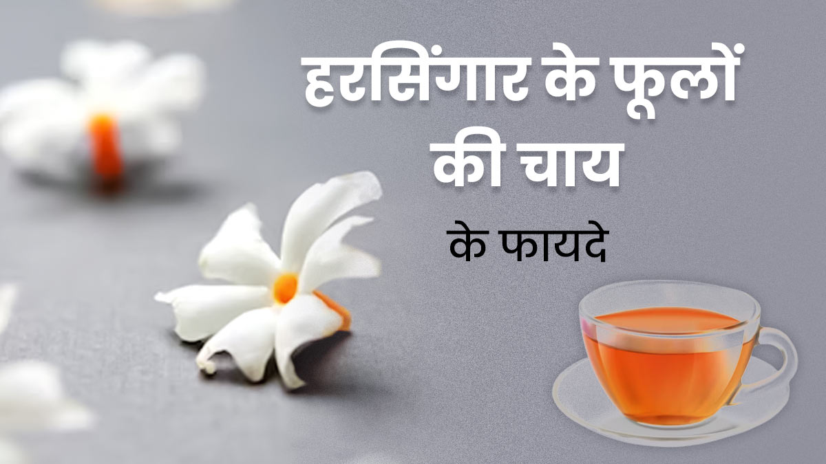 हरसिंगार (पारिजात) के फूलों की चाय पीने से सेहत को मिलते हैं ये 5 फायदे, जानें इसकी आसान रेसिपी