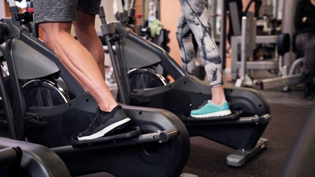 Choosing the Best Cardio Equipment for Home Workouts: Treadmill, Exercise  Bike, or Rowing Machine