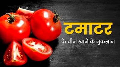टमाटर के बीज खाने से सेहत हो सकते हैं कई नुकसान, जानें किसे नहीं खाना चाहिए