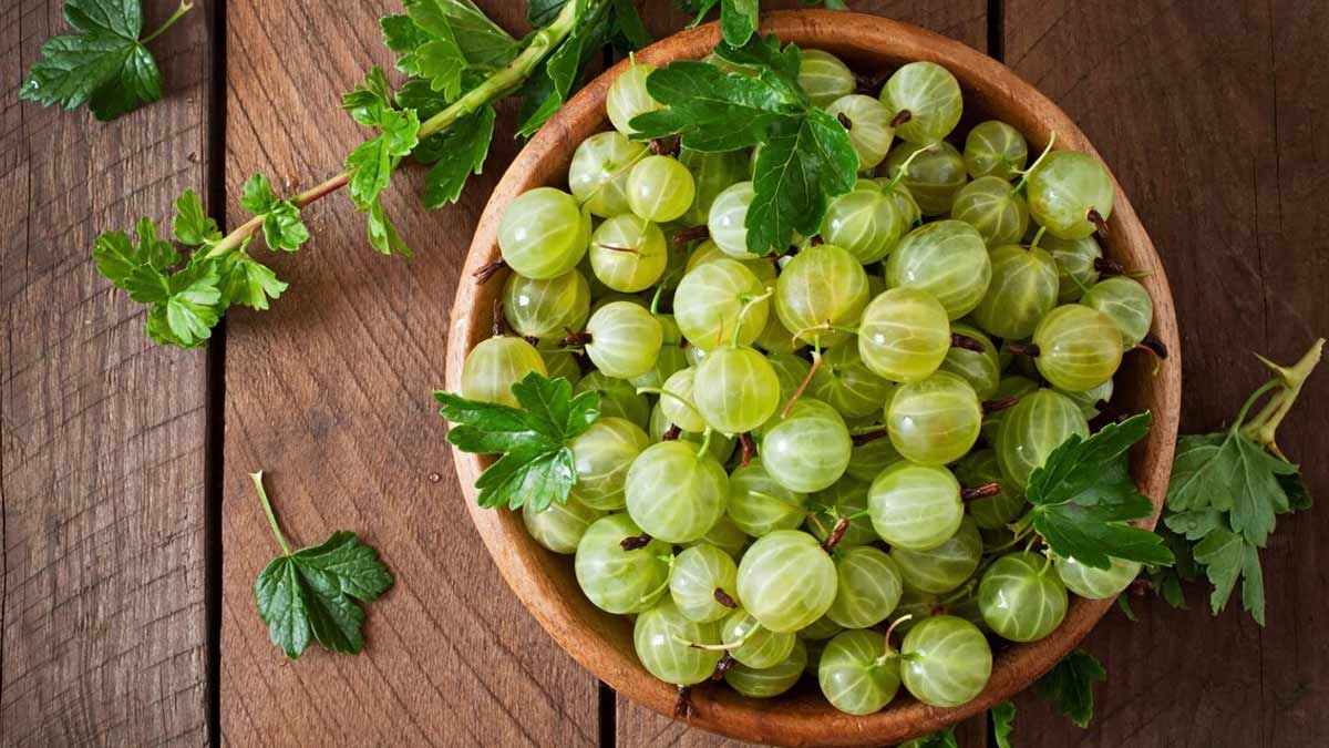 Ayurvedic Drinks To Lower Blood Sugar Levels