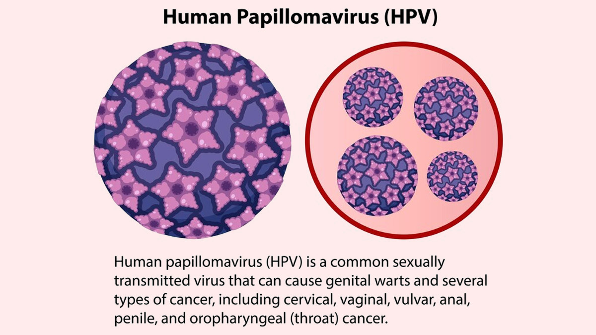 10 Reasons To Be Vaccinated Against Human Papillomavirus (HPV ...