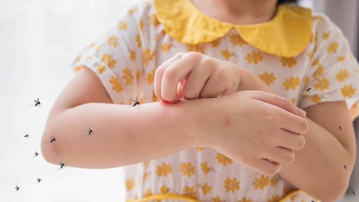 Dengue Vaccines In India