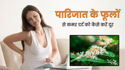 कमर दर्द को दूर करने में फायदेमंद हो सकते हैं पारिजात के फूल, जानें इस्तेमाल का तरीका 