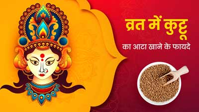 Navratri Vrat 2023: नवरात्रि व्रत में जरूर खाएं कुट्टू के आटे से बनी डिशेज, सेहत को मिलेंगे ये 4 शानदार फायदे