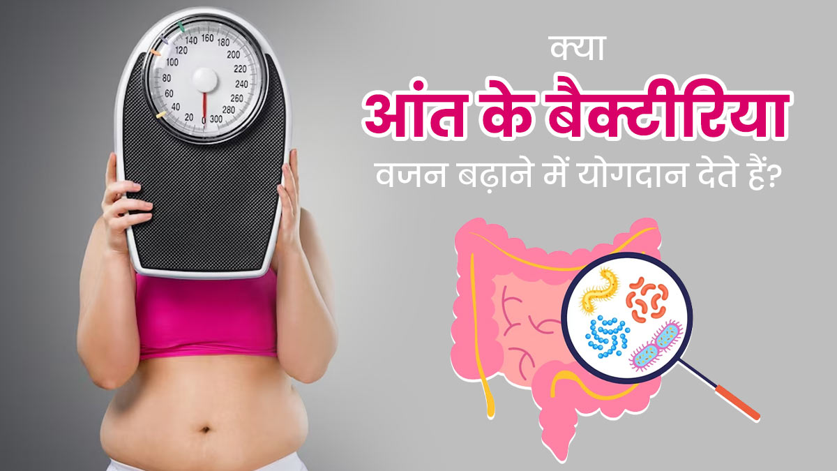 क्या आंत के बैक्टीरिया वजन बढ़ाने में योगदान देते हैं? एक्सपर्ट से जानें ये कैसे प्रभावित करते हैं वजन
