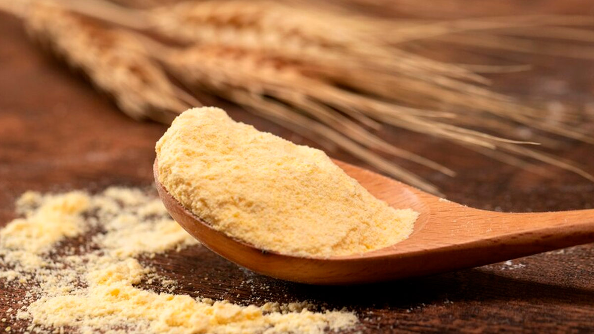 navratri fast flour options in hindi 
