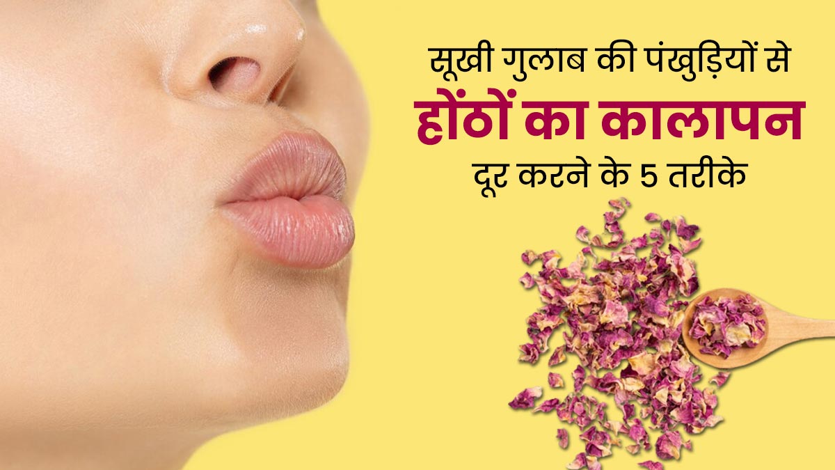 गुलाब सूखने पर इन 5 तरीकों से करें इस्तेमाल, दूर होगा होंठों का कालापन 