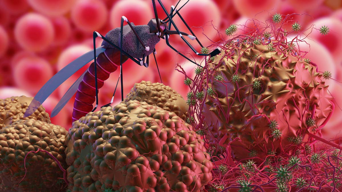 malaria