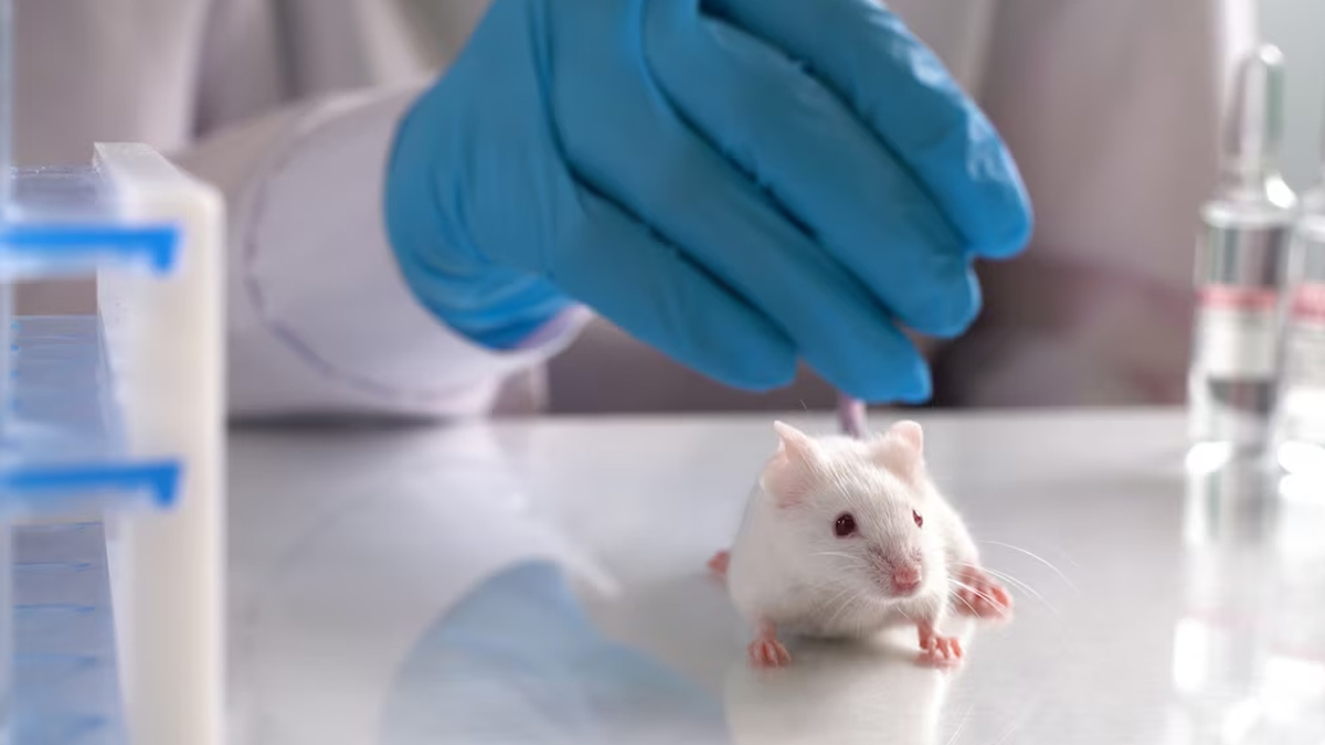 COVID trivalent vaccine