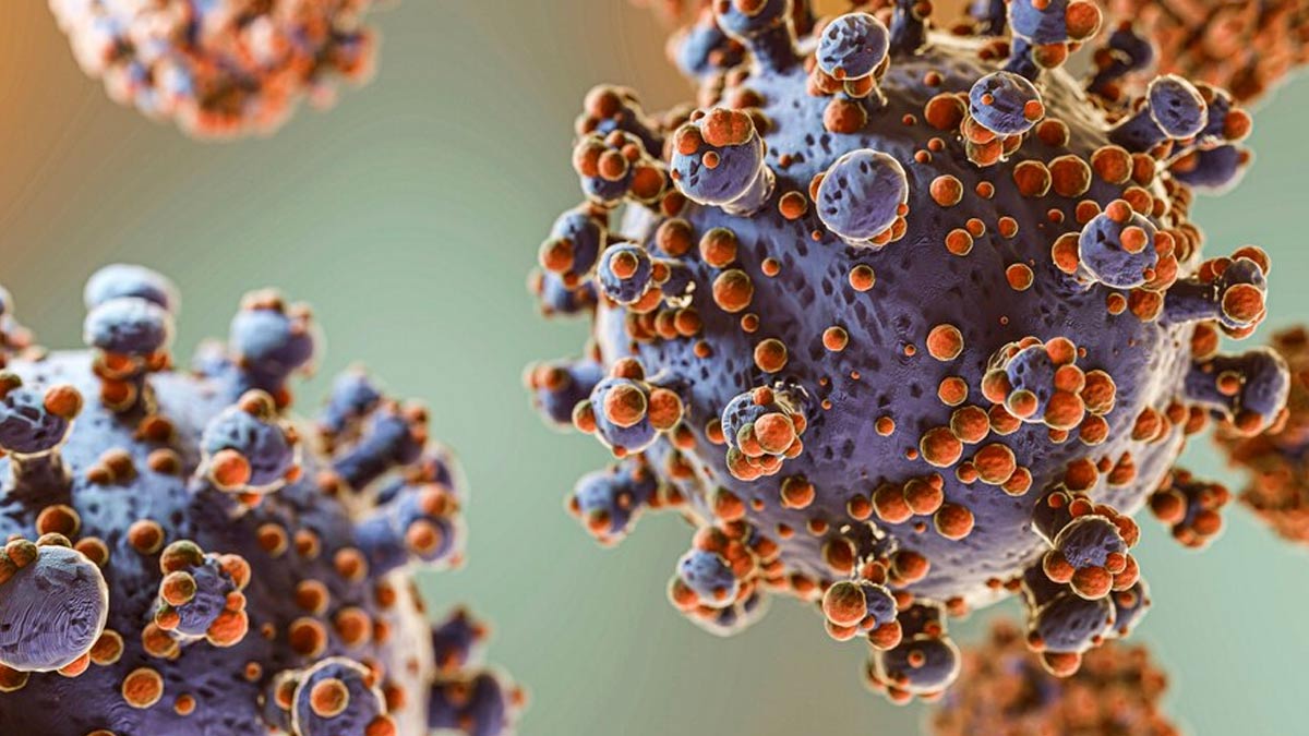 Effect Of COVID On Urinary Tract Diseases