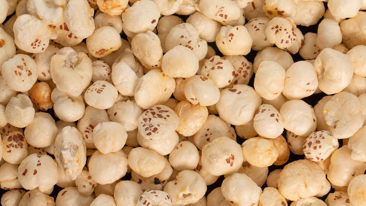 makhana