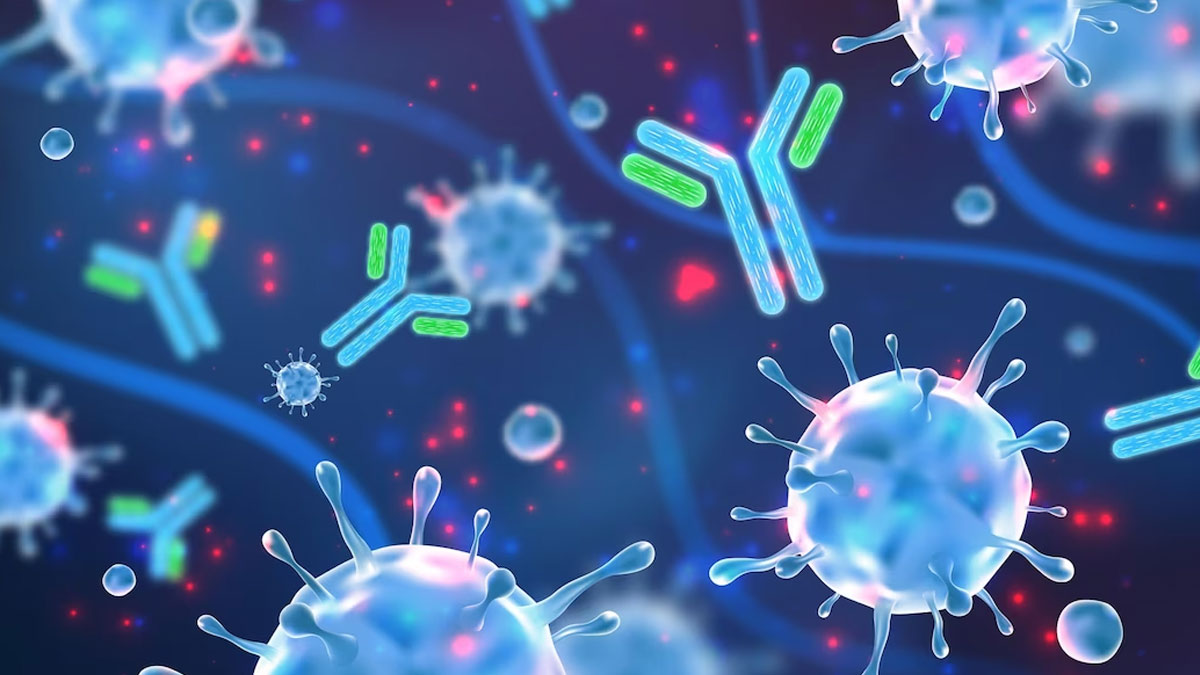 COVID antibodies may worse dengue severity