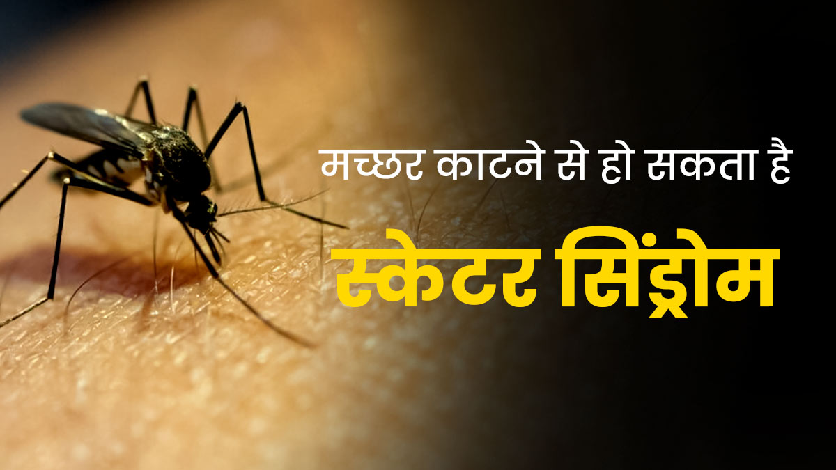 मच्छर काटने से हो सकता है स्केटर सिंड्रोम, जानें इसके लक्षण और बचाव का तरीका 