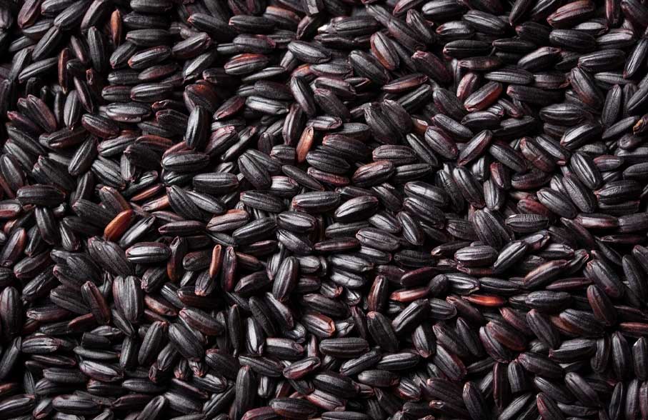 black wheat