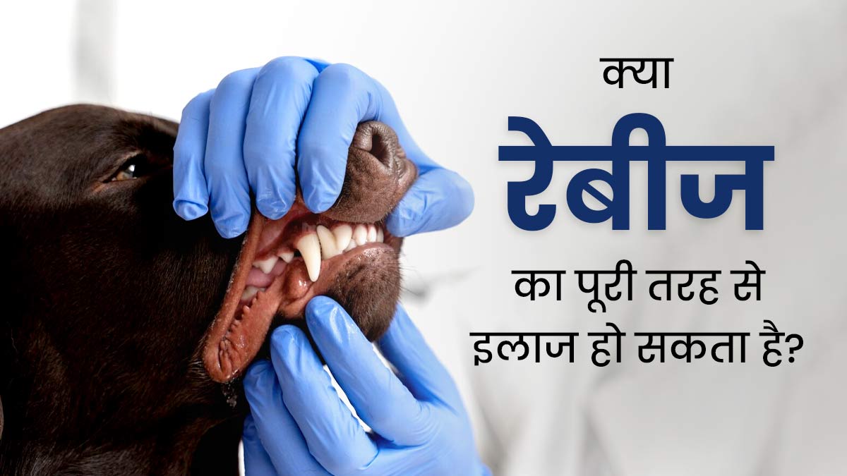क्या रेबीज का इलाज पूरी तरह से हो सकता है? जानें क्या कहते हैं डॉक्टर