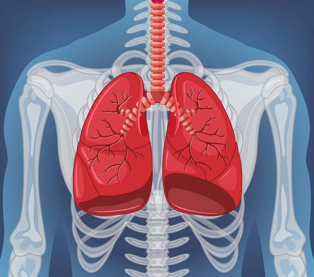 How To Clean lungs In Hindi