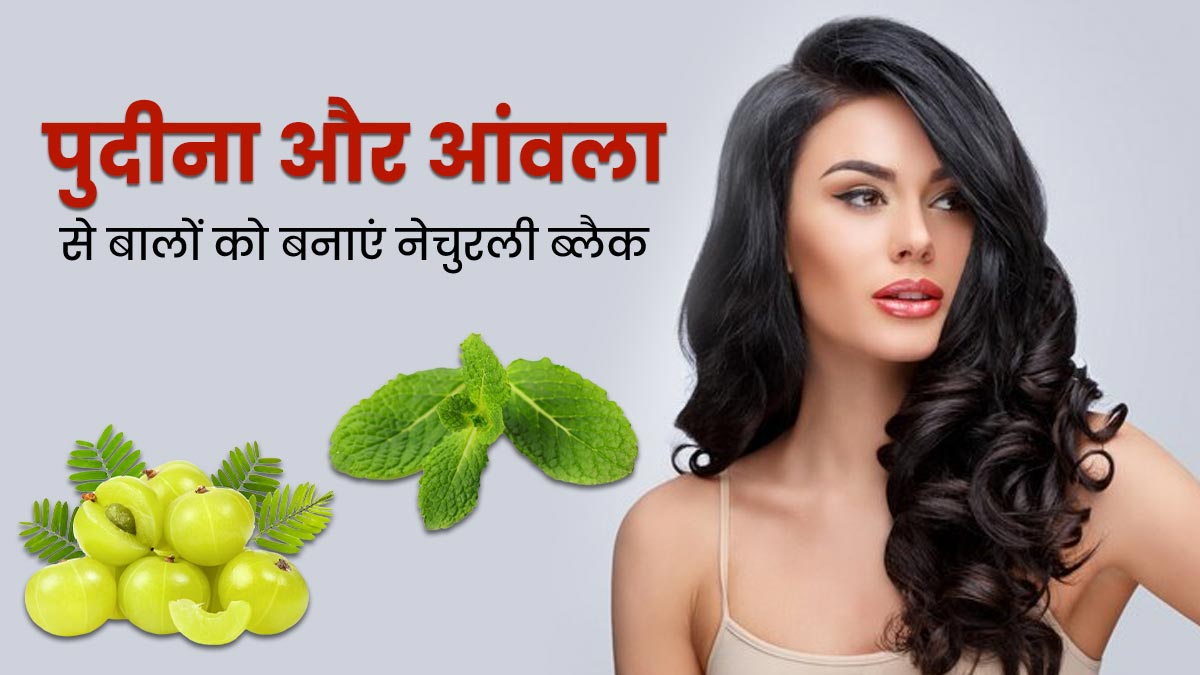 पुदीने और आंवला से बालों को बनाएं नेचुरली काला, जानें पैक बनाने और लगाने का तरीका