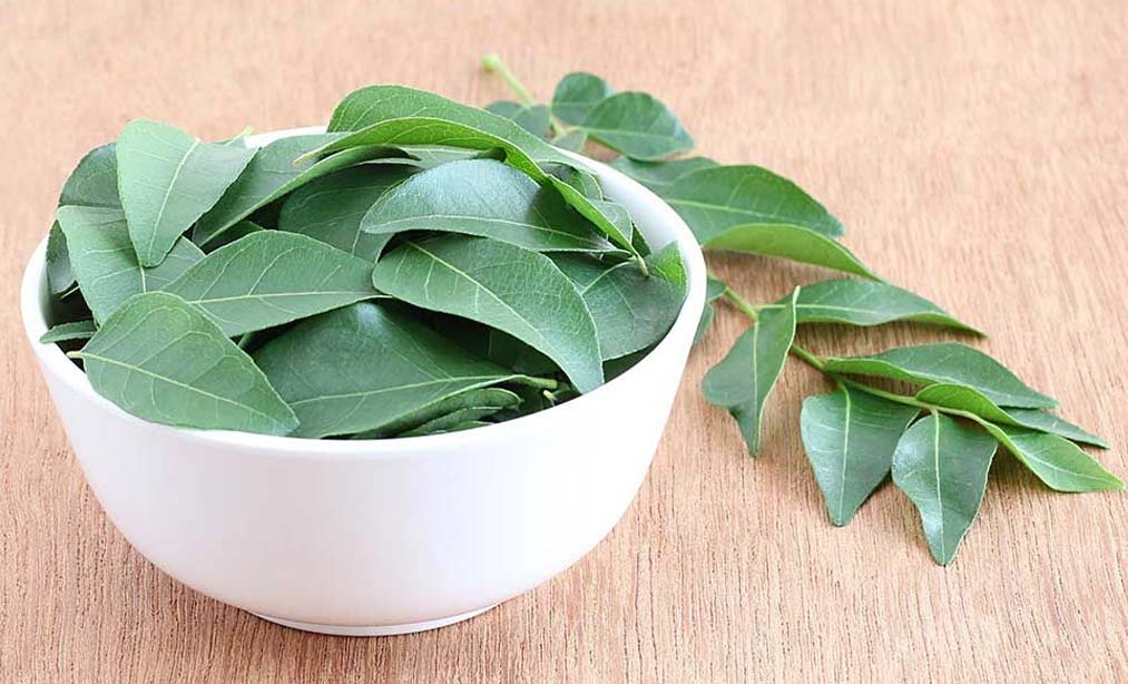 curry leaves for hair