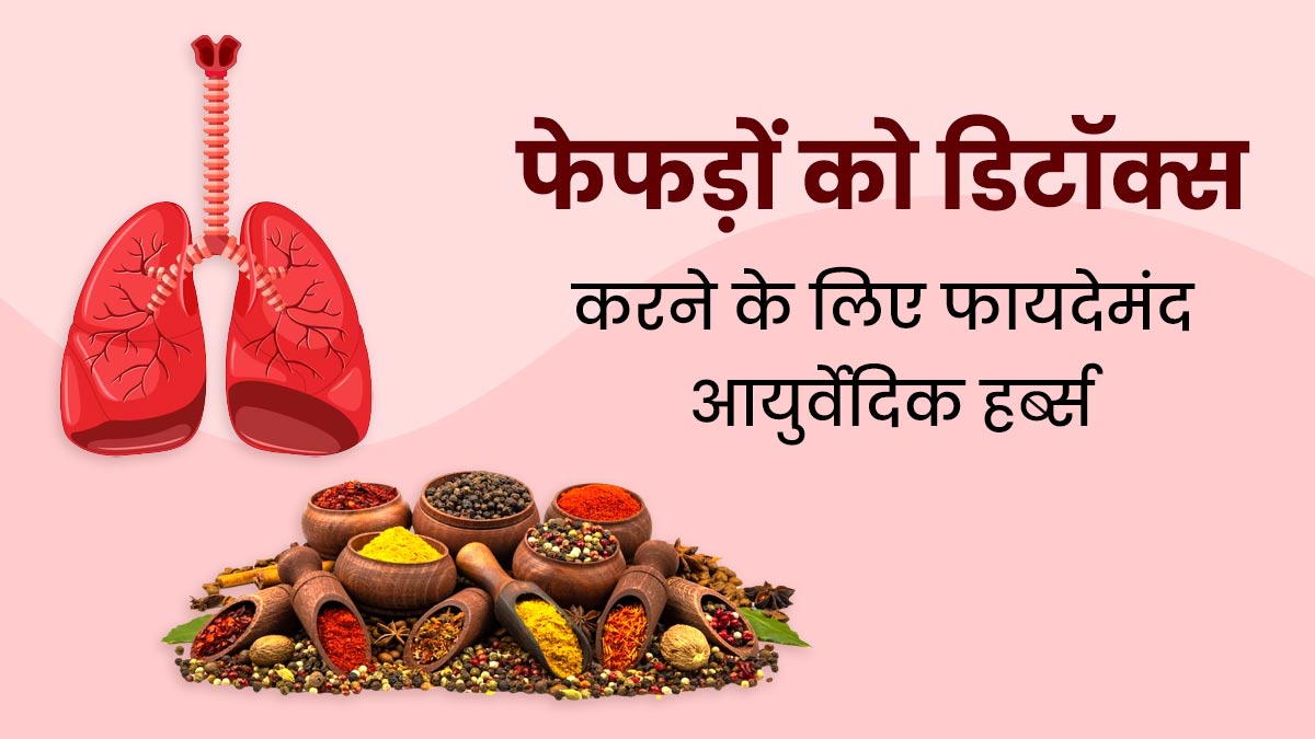 फेफड़ों की गंदगी साफ करने के लिए करें इन आयुर्वेदिक जड़ी-बूटियों का सेवन, तुरंत मिलेगा फायदा