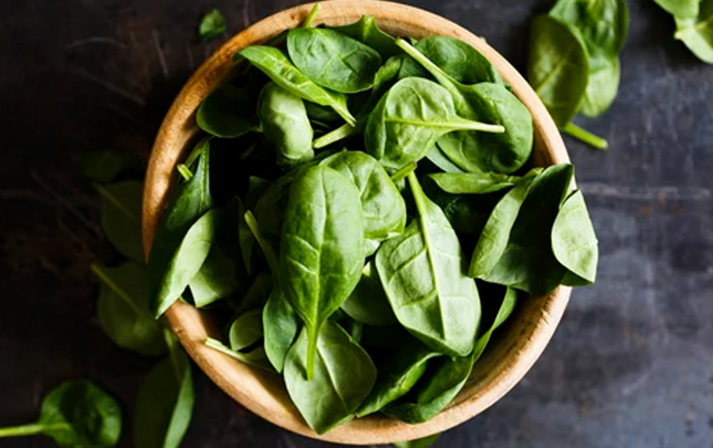 basil leaves benefits for skin