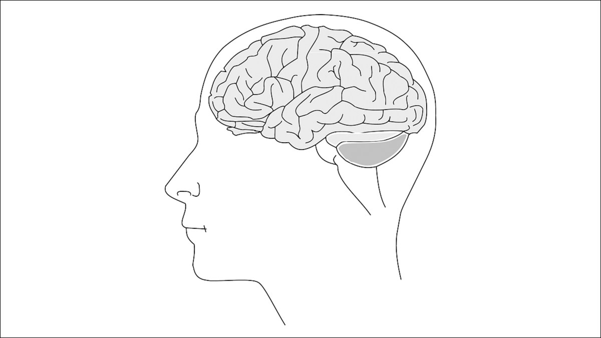How Adderall Affects Women