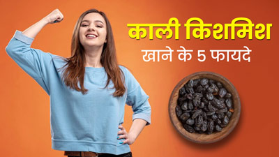 सुबह खाली पेट काली किशमिश खाने से शरीर को मिलेंगे ये 5 फायदे, एक्सपर्ट से जानें खाने का सही तरीका