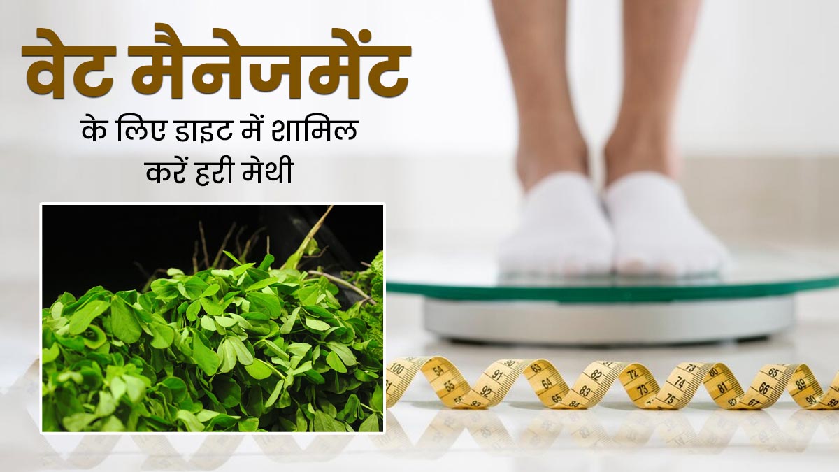 हरी मेथी खाने से शरीर को मिलेंगे ये 5 जबरदस्त फायदे, जानें इसे बनाने का तरीका 