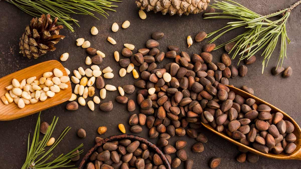 Gond Chilgoza Benefits