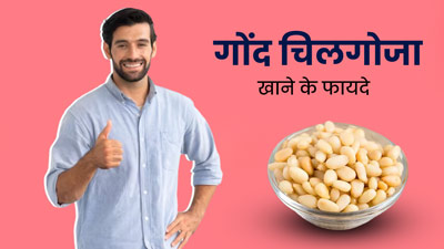 गोंद चिलगोजा खाने से दूर होती हैं शरीर की कई समस्याएं, जानें खाने का सही तरीका