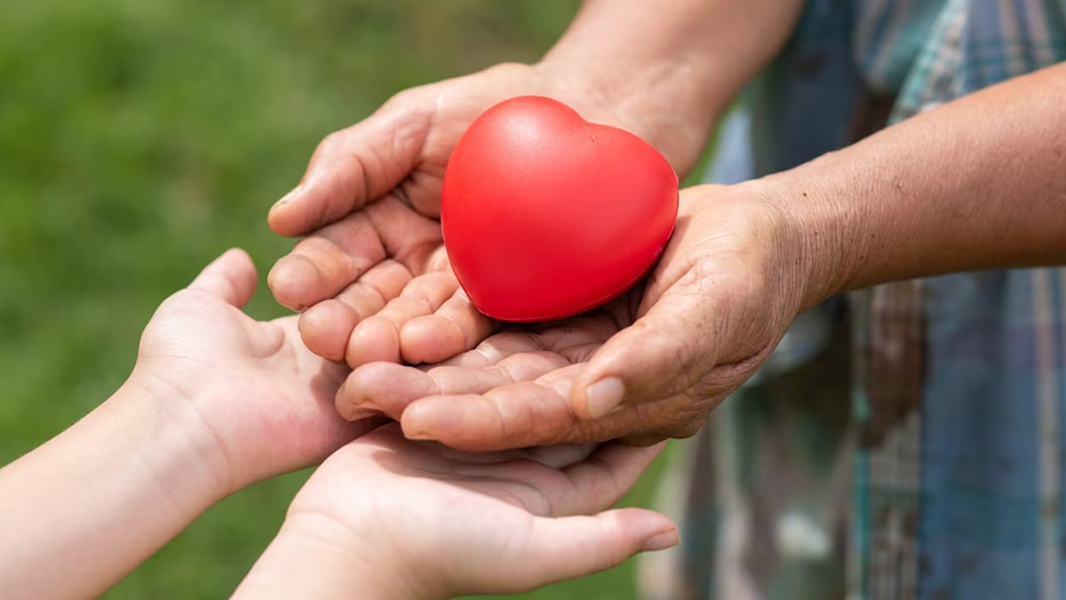 From Donor To Recipient: Expert Explains The Guidelines For Organ Donation