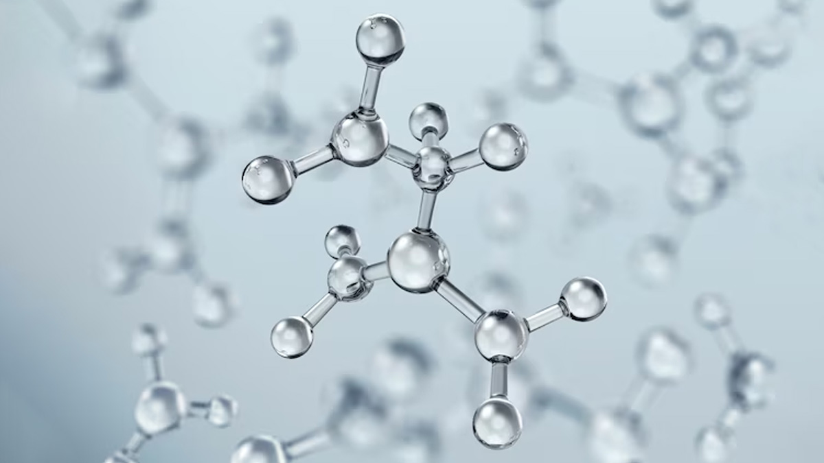 Do You Know About Anti Nutrients Or Phytic Acid? Here’s What You  Need To Know
