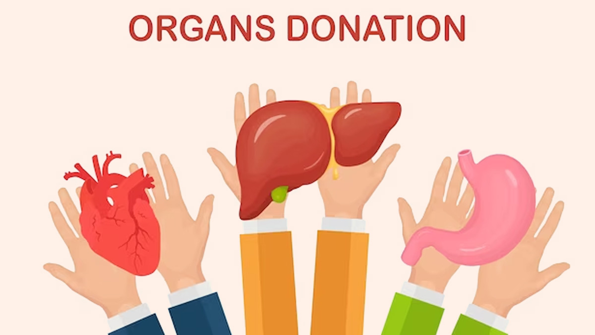 What Is Organ Donation