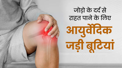 जोड़ो के दर्द से राहत दिलाएंगी ये 5 आयुर्वेदिक जड़ी बूटियां, इस तरह करें इस्तेमाल
