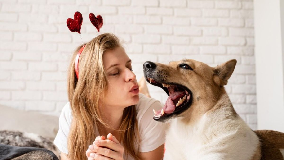 Kissing Pets May Not Be Safe