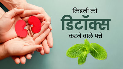 किडनी को डिटॉक्स करने में मदद करेंगी ये 4 तरह की पत्तियां, कई बीमारियों से होगा बचाव