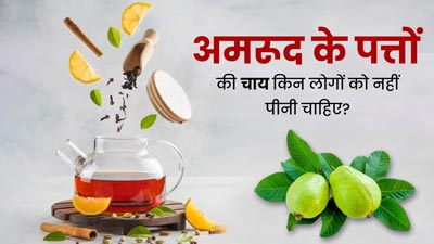 अमरूद के पत्तों की चाय किन लोगों को नहीं पीनी चाहिए? एक्सपर्ट से जानें इसके संभावित नुकसान