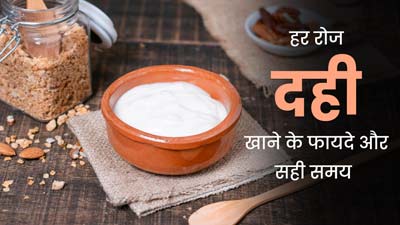 रोज दही खाने से क्या फायदे मिलते हैं? एक्सपर्ट से जानें दही खाने का सबसे अच्छा समय क्या है