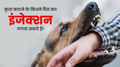 कुत्ता काटने के कितनी देर बाद तक इंजेक्शन लगवा सकते हैं? जानें कब शरीर में फैलने लगता है रेबीज इंफेक्शन