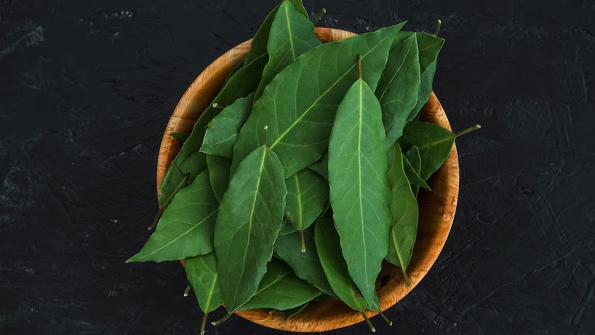 Tips To Control Blood Sugar Leve